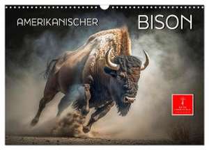 Amerikanischer Bison (Wandkalender 2024 DIN A3 quer), CALVENDO Monatskalender de Peter Roder