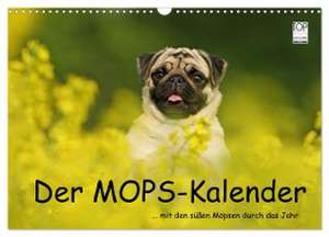 Der MOPS-Kalender (Wandkalender 2024 DIN A3 quer), CALVENDO Monatskalender de Kathrin Köntopp