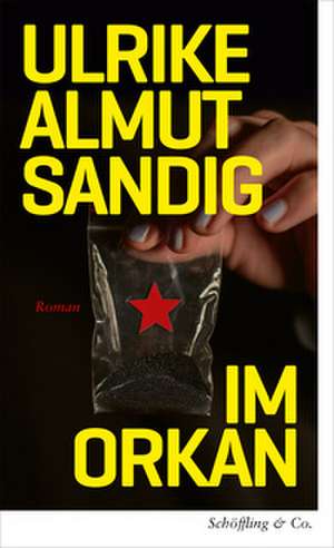 Im Orkan de Ulrike Almut Sandig