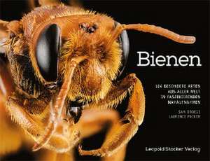 Bienen de Sam Droege