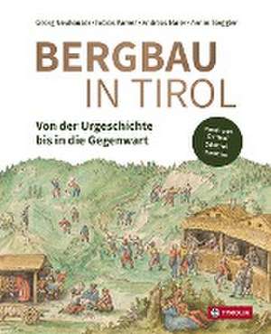 Bergbau in Tirol de Georg Neuhauser