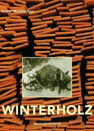 Winterholz de Walter Mooslechner