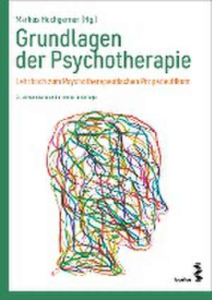 Grundlagen der Psychotherapie de Markus Hochgerner