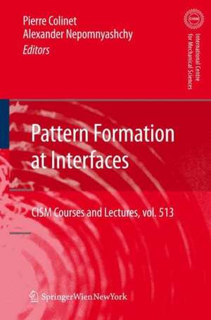 Pattern Formation at Interfaces de Pierre Colinet