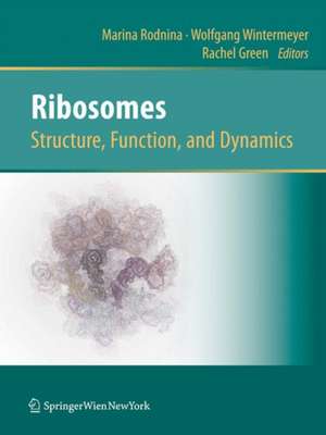 Ribosomes Structure, Function, and Dynamics de Marina V. Rodnina