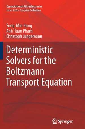 Deterministic Solvers for the Boltzmann Transport Equation de Sung-Min Hong