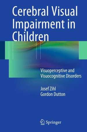 Cerebral Visual Impairment in Children: Visuoperceptive and Visuocognitive Disorders de Josef Zihl