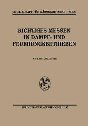 Richtiges Messen in Dampf- und Feuerungsbetrieben de Gesellschaft für Wärmewirtschaft/Wien