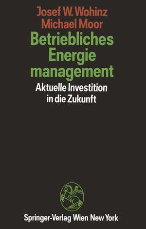 Betriebliches Energiemanagement: Aktuelle Investition in die Zukunft de Josef W. Wohinz