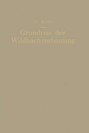 Grundriß der Wildbachverbauung de Georg Strele