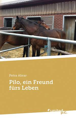 Pilo: Better Results de Petra Abrar