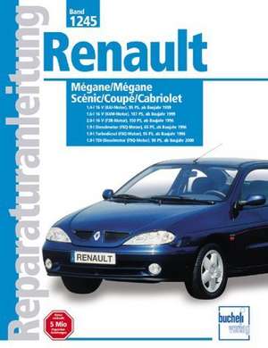 Renault Megane Scenic/Coupe/Cabriolet Baujahre 1995 bis 2000