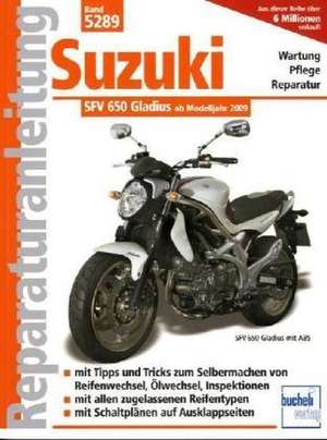 Suzuki Gladius 650 ccm V2 neues Modell