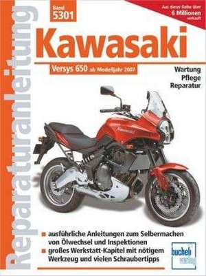 Kawasaki Versys 650 ccm de Franz Josef Schermer