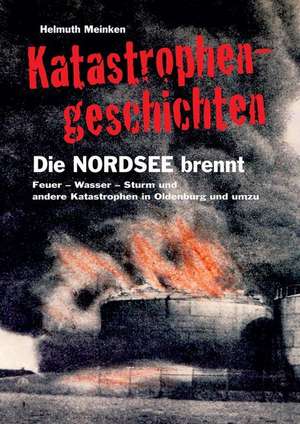 Katastrophengeschichten de Helmuth Meinken
