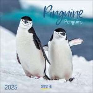 Pinguine 2025 de Verlag Korsch