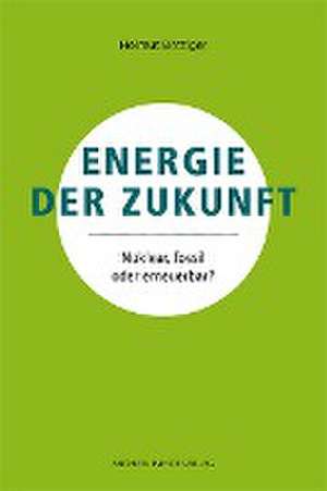 Energie der Zukunft de Helmut Böttiger