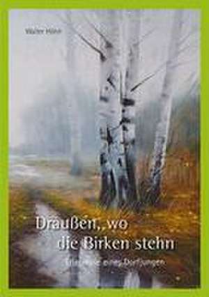 Draußen, wo die Birken stehn de Walter Höhn