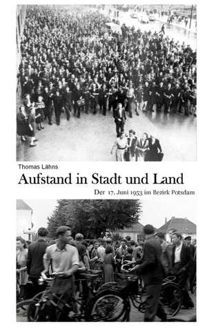 Aufstand in Stadt und Land de Thomas Lähns