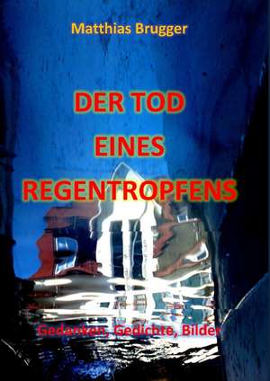 Der Tod eines Regentropfens de Matthias Brugger