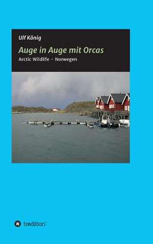 Auge in Auge Mit Orcas: Wie Ich Meine Chronischen Krankheiten, Konflikte Und Krisen Heilte Und Meine Kuhnsten Traume Ubertraf de Ulf König