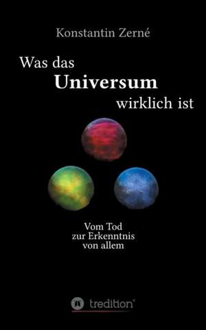 Was Das Universum Wirklich Ist: Hamburg - Schanghai - Hamburg de Konstantin Zerné