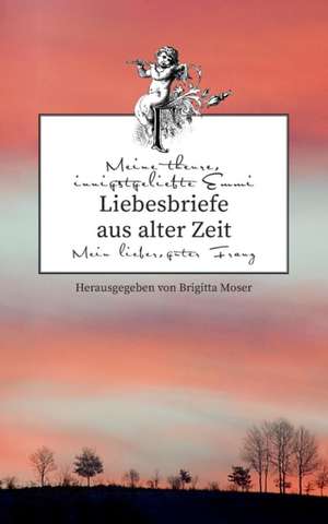 Liebesbriefe Aus Alter Zeit: Hamburg - Schanghai - Hamburg de Brigitta Moser