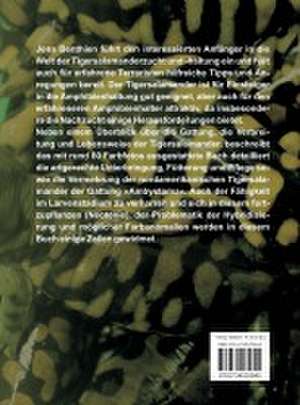 Tigersalamander de Jens Benthien