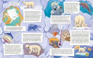 Der kleine Polarbär - Zu Hause in der Arktis de Kristina Scharmacher-Schreiber