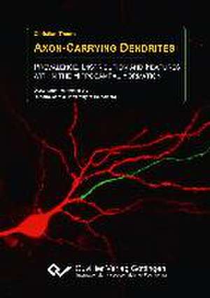 Axon-Carrying Dendrites. Prevalence, Distribution and Features within the Hippocampal Formation de Christian Thome