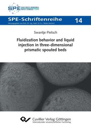 Fluidization behavior and liquid injection in three-dimensional prismatic spouted beds de Swantje Pietsch