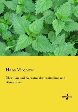 Über Bau und Nervatur der Blattzähne und Blattspitzen de Hans Virchow