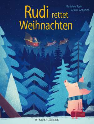 Rudi rettet Weihnachten de Mathilde Stein