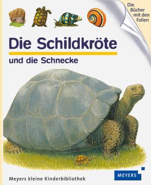 Die Schildkröte de Gilbert Houbre