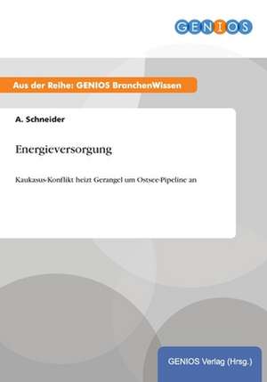 Energieversorgung de A. Schneider