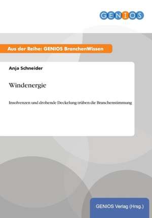 Windenergie de Anja Schneider