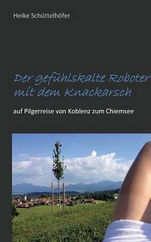 Der gefühlskalte Roboter mit dem Knackarsch de Heike Schüttelhöfer