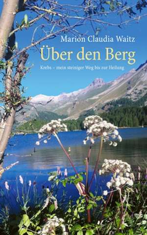 Über den Berg de Marion Claudia Waitz