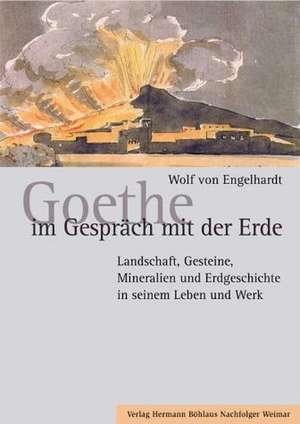 Goethe im Gespräch mit der Erde: Landschaft, Gesteine, Mineralien und Erdgeschichte in seinem Leben und Werk de Wolf von Engelhardt