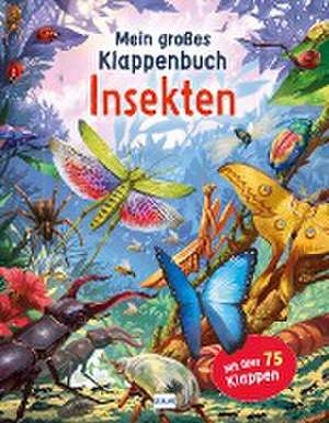 Mein großes Klappenbuch - Insekten de Rod Green