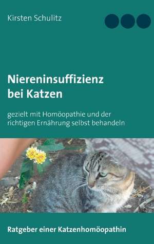 Niereninsuffizienz bei Katzen de Kirsten Schulitz