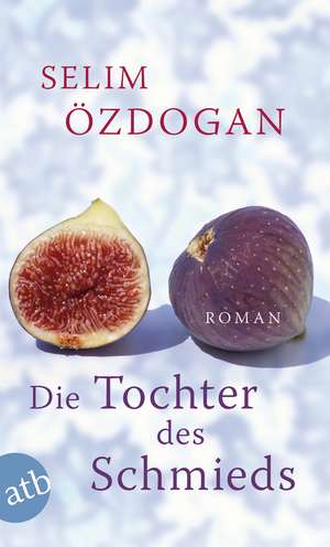 Die Tochter des Schmieds de Selim Özdogan