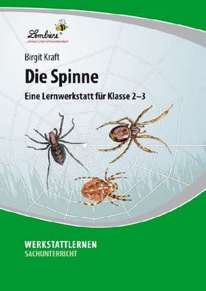 Die Spinne (PR) de Birgit Kraft