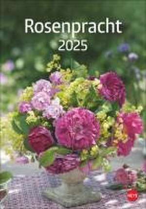 Rosenpracht Kalender 2025 de Heye