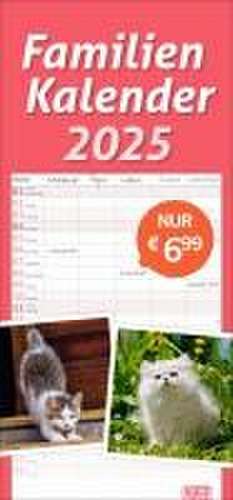 Katzen Familienplaner 2025 de Heye