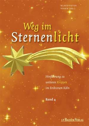 Weg im Sternenlicht 04 de Klaus-Peter Vosen