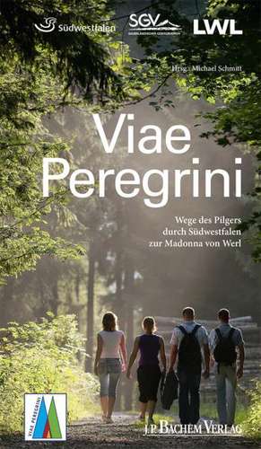 Viae Peregrini de Michael Schmitt