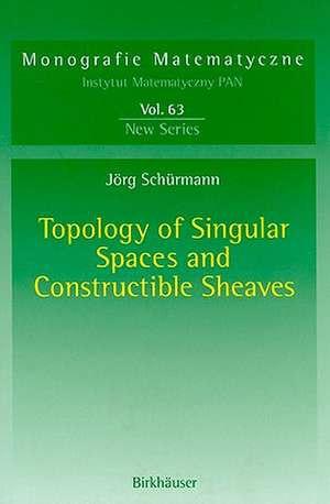 Topology of Singular Spaces and Constructible Sheaves de Jörg Schürmann