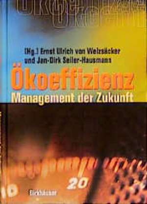 Ökoeffizienz: Management der Zukunft de Ernst Ulrich von Weizsäcker