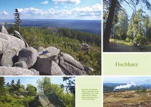 Vergessene Pfade im Harz de Richard Goedeke